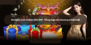 Khuyến mãi thành viên VIP - Tổng hợp các chương trình mới