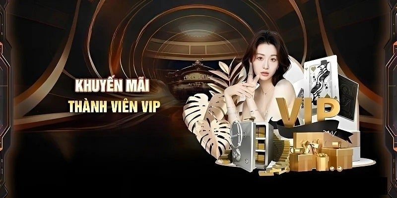 Những thông tin về ưu đãi cho VIP